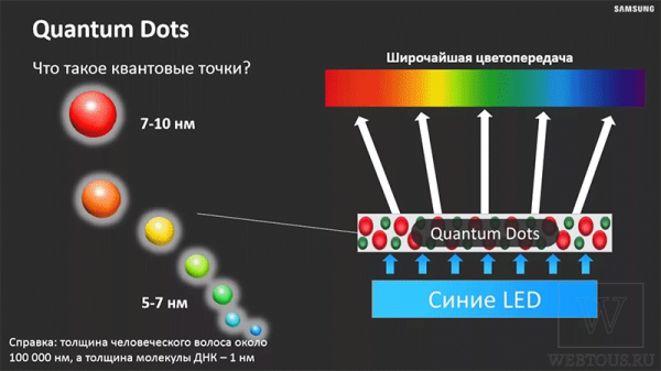 Просто и понятно про QLED и OLED: какой телевизор лучше?