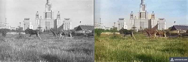 Онлайн превращение черно-белых фото в цветные