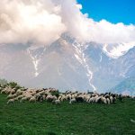 Путешествие по Центральной Азии: откройте для себя Кыргызстан с Ak-Sai Travel