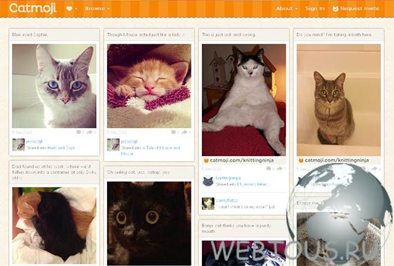 Новость! Новая социальная сеть для кошек Catmoji