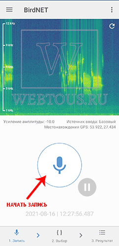 Как распознать птицу по голосу или фото? Бесплатные онлайн определители